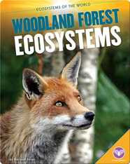 Woodland Forest Ecosystems