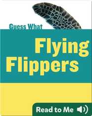 Flying Flippers
