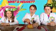 What's Inside?  CUTTING OPEN SQUISHY EXOTIC FRUITS From Around The World!