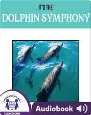 It's The Dolphin Symphony