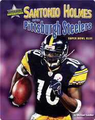 Santonio Holmes and the Pittsburgh Steelers: Super Bowl XLIII