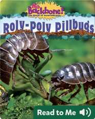 Roly-Poly Pillbugs