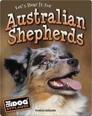 Australian Shepherds