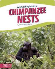 Animal Engineers: Chimpanzee Nests