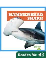 Shark Bites: Hammerhead Shark