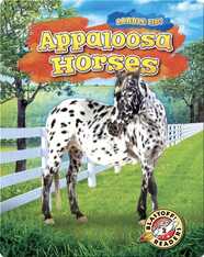 Saddle Up!: Appaloosa Horses
