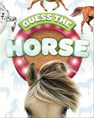 Guess the Horse