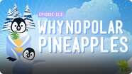 Crash Course Kids: Why No Polar Pineapple