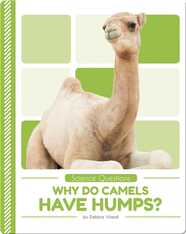 Science Questions: Why do Camels have Humps?