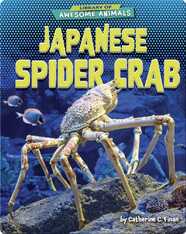 Awesome Animals: Japanese Spider Crab