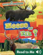 Spotting Differences: Moose or Elk?
