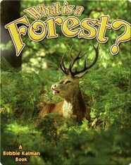 What is a Forest?