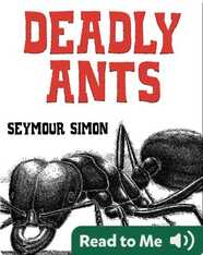 Deadly Ants