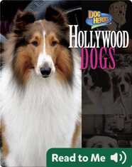 Hollywood Dogs