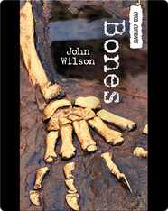 Bones