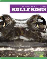 My First Animal Library: Bullfrogs