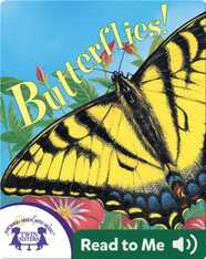 Butterflies!