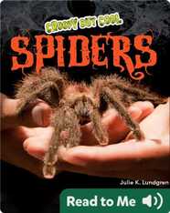 Creepy But Cool: Spiders