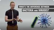 What's the Difference Between Bacteria and Viruses?