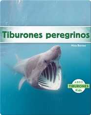 Tiburones peregrinos