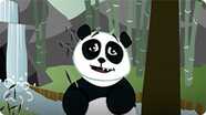 I'm a Panda