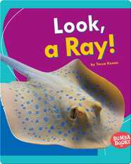 Look, a Ray!