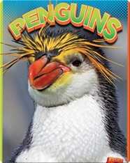 Penguins