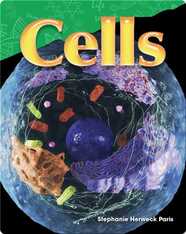 Cells