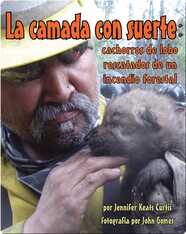 La camada con suerte: cachorros de lobo rescatados de un incendio forestal