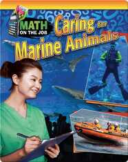 Math on the Job: Caring for Marine Animals