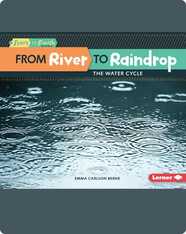 From River to Raindrop: The Water Cycle