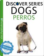 Dogs / Perros