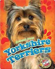 Awesome Dogs: Yorkshire Terriers