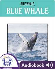 Blue Whale, Blue Whale