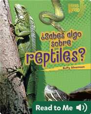 ¿Sabes algo sobre reptiles? (Do You Know about Reptiles?)