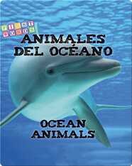 Animales del océano / Ocean Animals