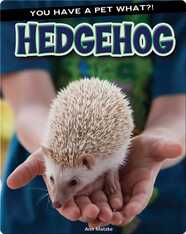 Hedgehog