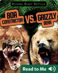 Boa Constrictor vs. Grizzly Bear