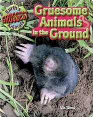 Gruesome Animals in the Ground