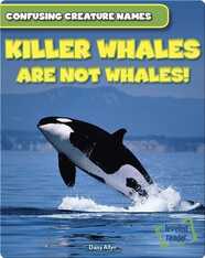 Killer Whales Are Not Whales!
