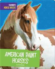American Paint Horses