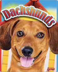 Dachshunds