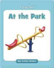 At the Park