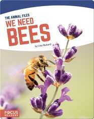 We Need Bees