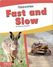 Opposites: Fast and Slow