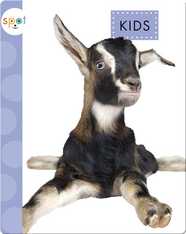 Baby Farm Animals: Kids