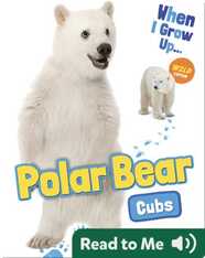Polar Bear Cubs