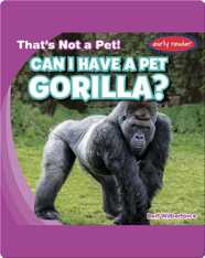 Can I Have a Pet Gorilla?