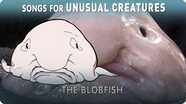 Songs for Unusual Creatures: The Blobfish