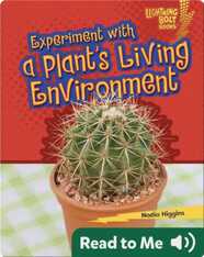Experiment with a Plant's Living Environment